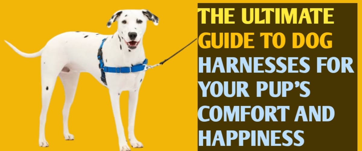 THE ULTIMATE GUIDE TO DOG HARNESSES FOR YOUR PUP S COMFORT AND HAPPINESS